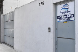 frente-freepeixe